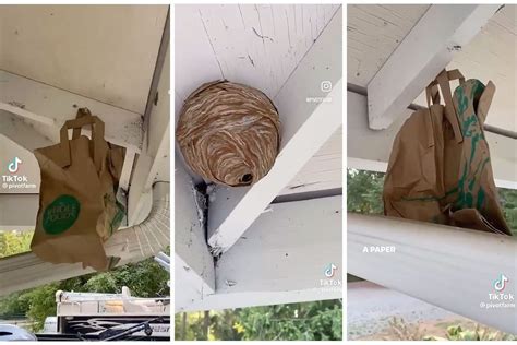 wasp paper bag hack